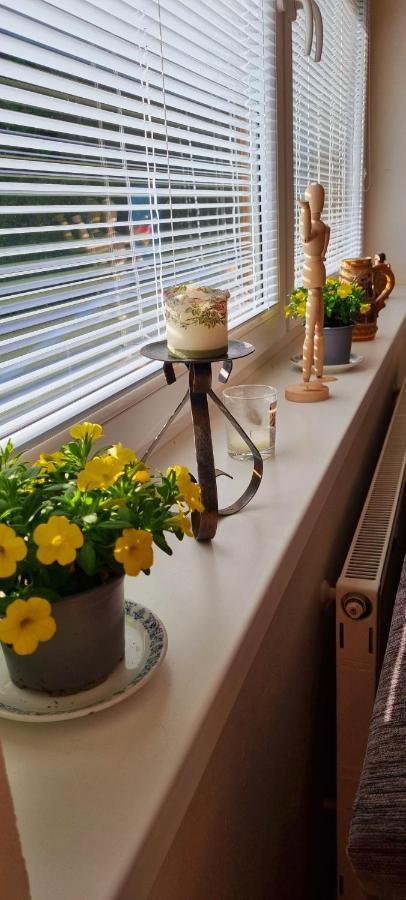 Mountain Village Apartment Pinewood *** Vyšné Ružbachy Dış mekan fotoğraf